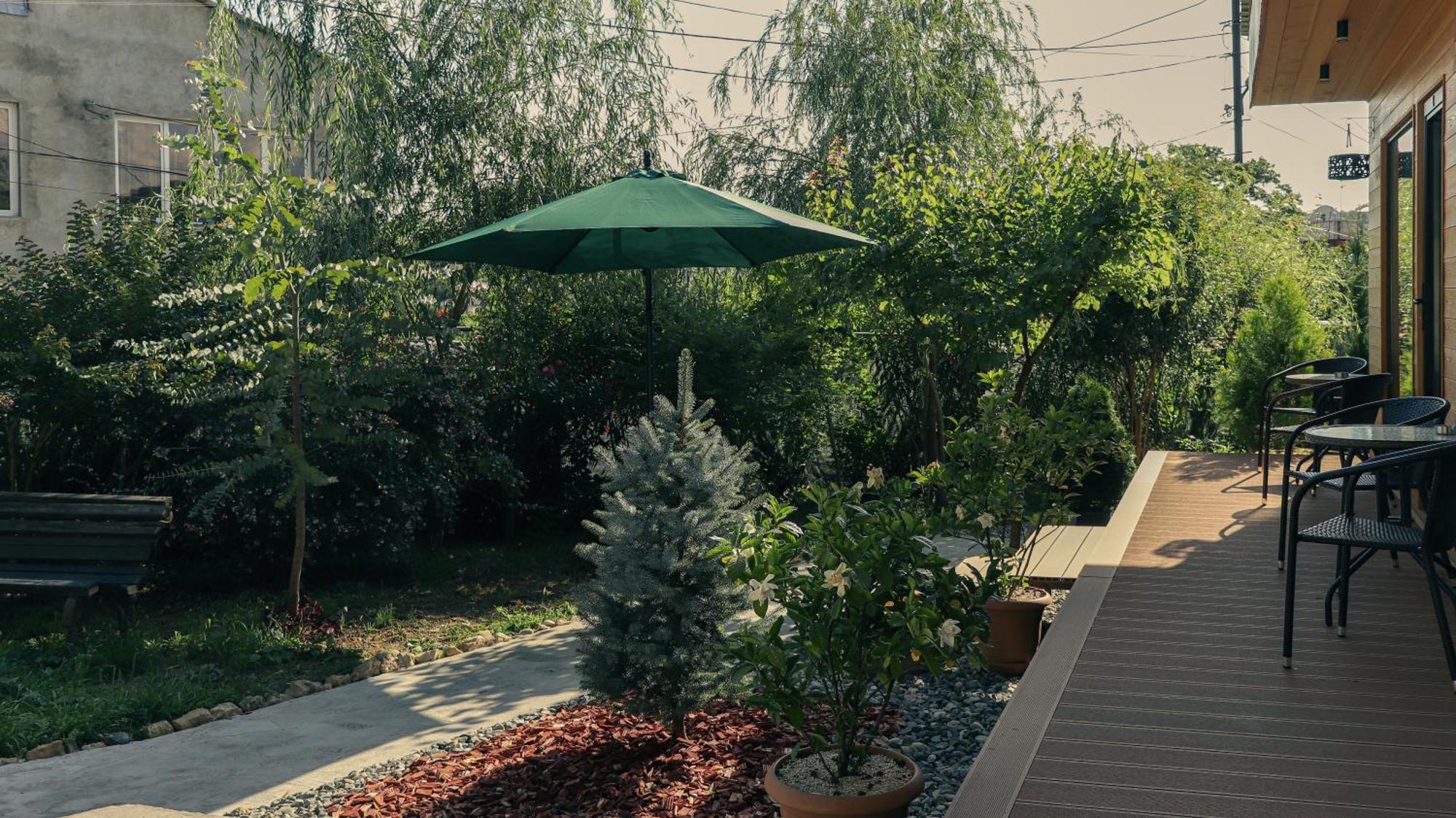 Garden Rooms In Kutaisi Exteriör bild