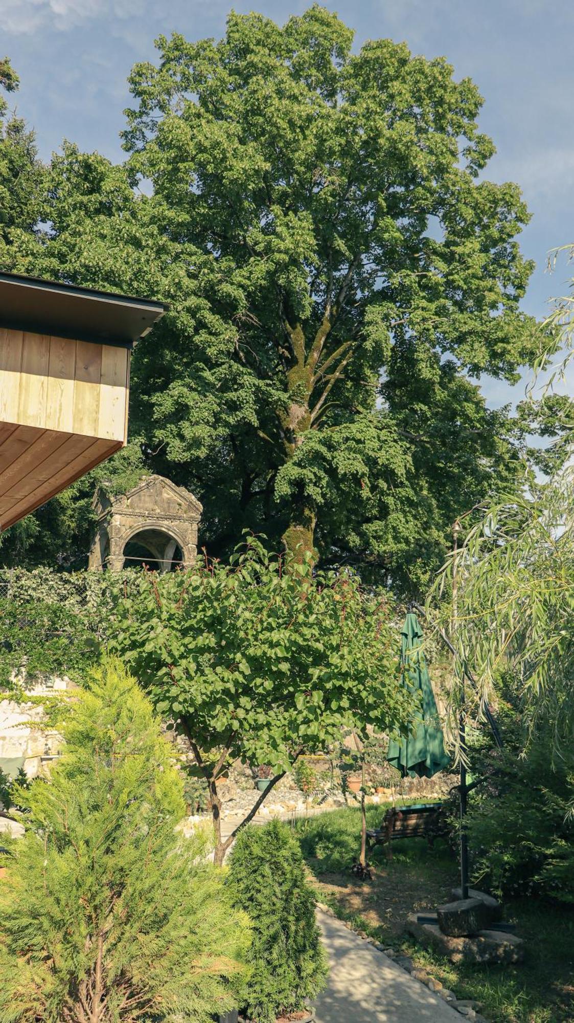 Garden Rooms In Kutaisi Exteriör bild